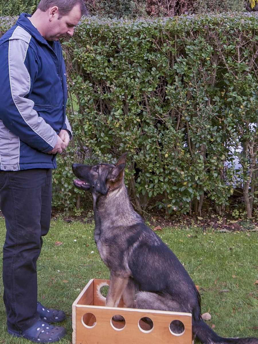Trainer and owner with calm dog after a session